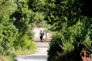 On the way to the waves in Moliets On the way to the waves in Moliets