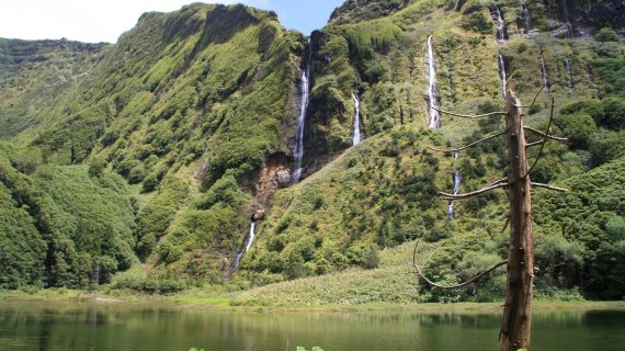 Green Azores Green Azores