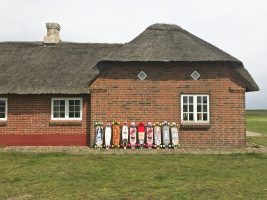 Surf Camp Hvide Sande