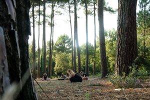 Yoga in our beautiful pine forest in Moliets