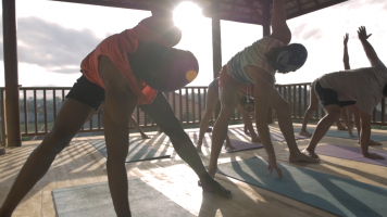 Yoga  Yoga