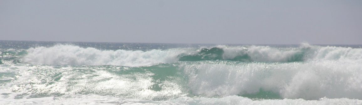 Waves in Portugal