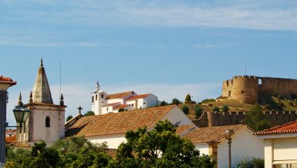 Sightseeing Santa Cruz