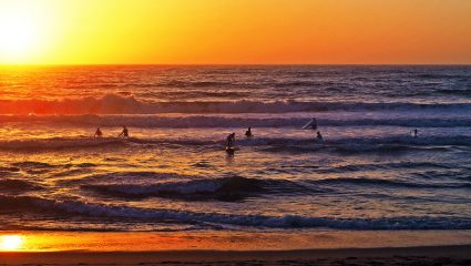 Surf School Santa Cruz Surf School Santa Cruz