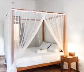 Bedroom Bedroom