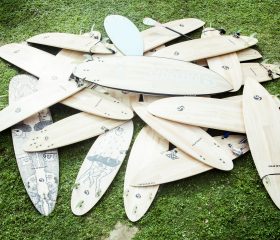 All shapes and sizes All shapes and sizes