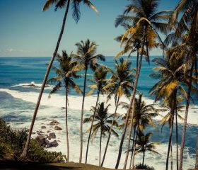 Divine landscapes Divine landscapes