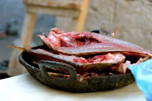 surf camp morocco Essaouira trip