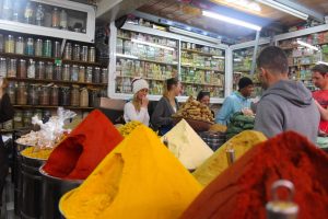 surf camp morocco Agadir trip