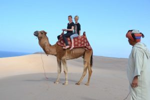 surf camp morocco camel activity
