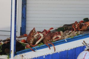 surf camp morocco Agadir trip