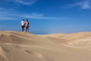 surf camp morocco camel experience