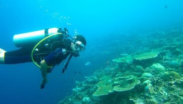 Diving Maldives