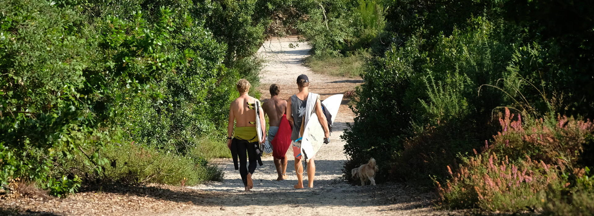 Surf Camp France in summer